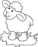Petit mouton