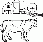 Vache devant la ferme