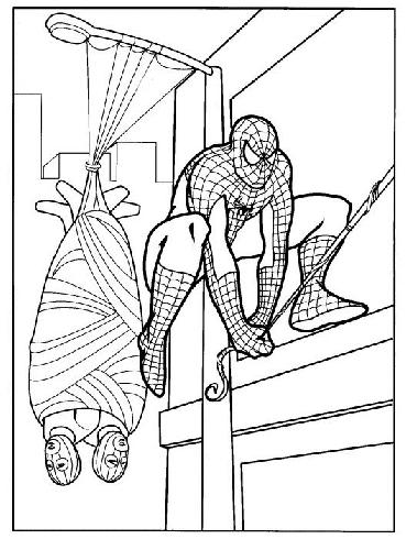 Spiderman capture