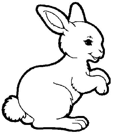 Lapin coloriage
