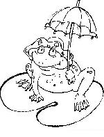 Grenouille avec ombrelle