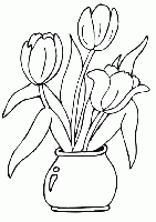 Tulipes dans vase